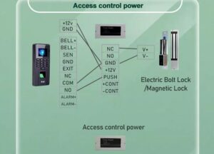 Best Time Attendance System in Dubai 2024